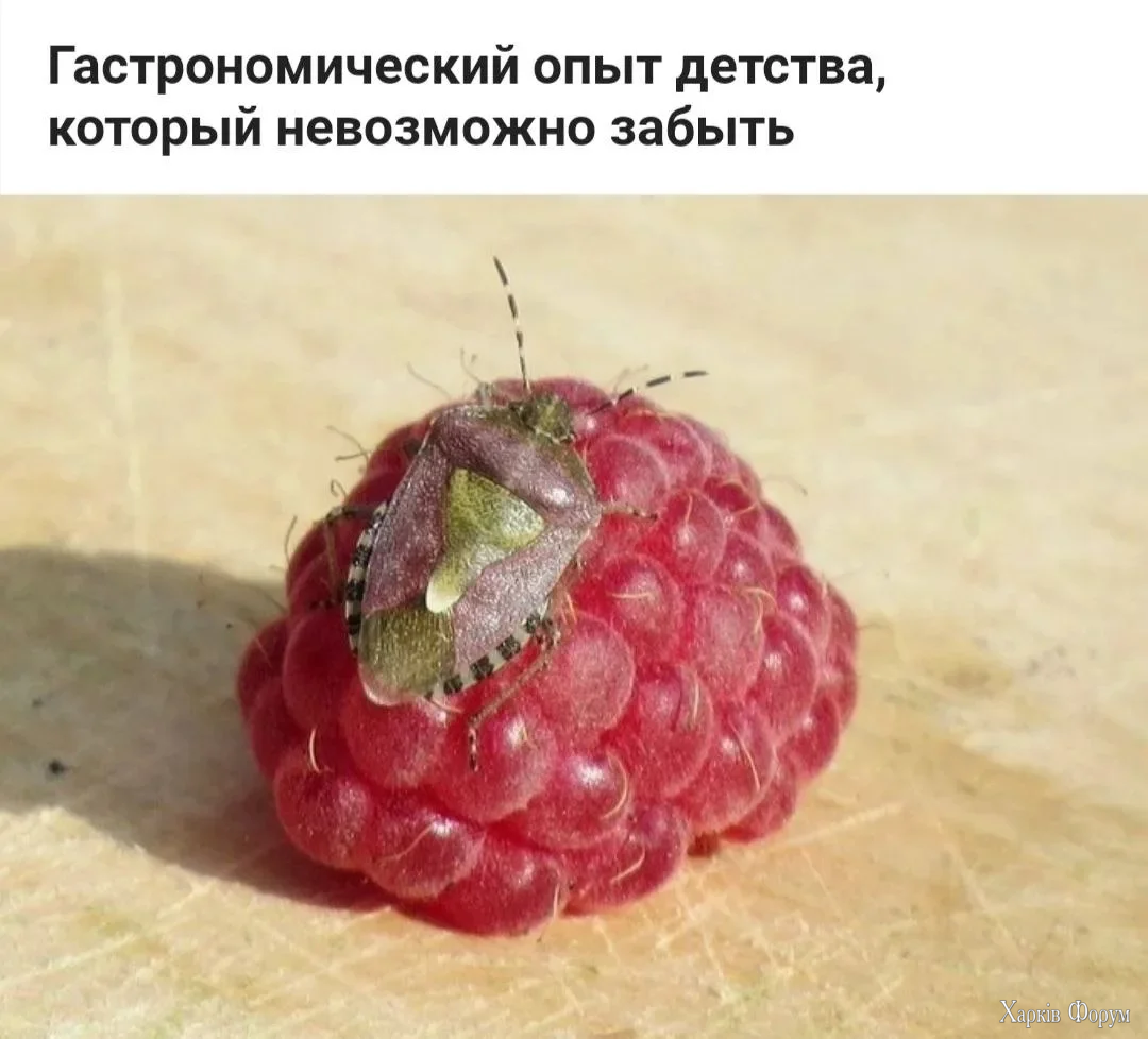 20260715_215856.webp