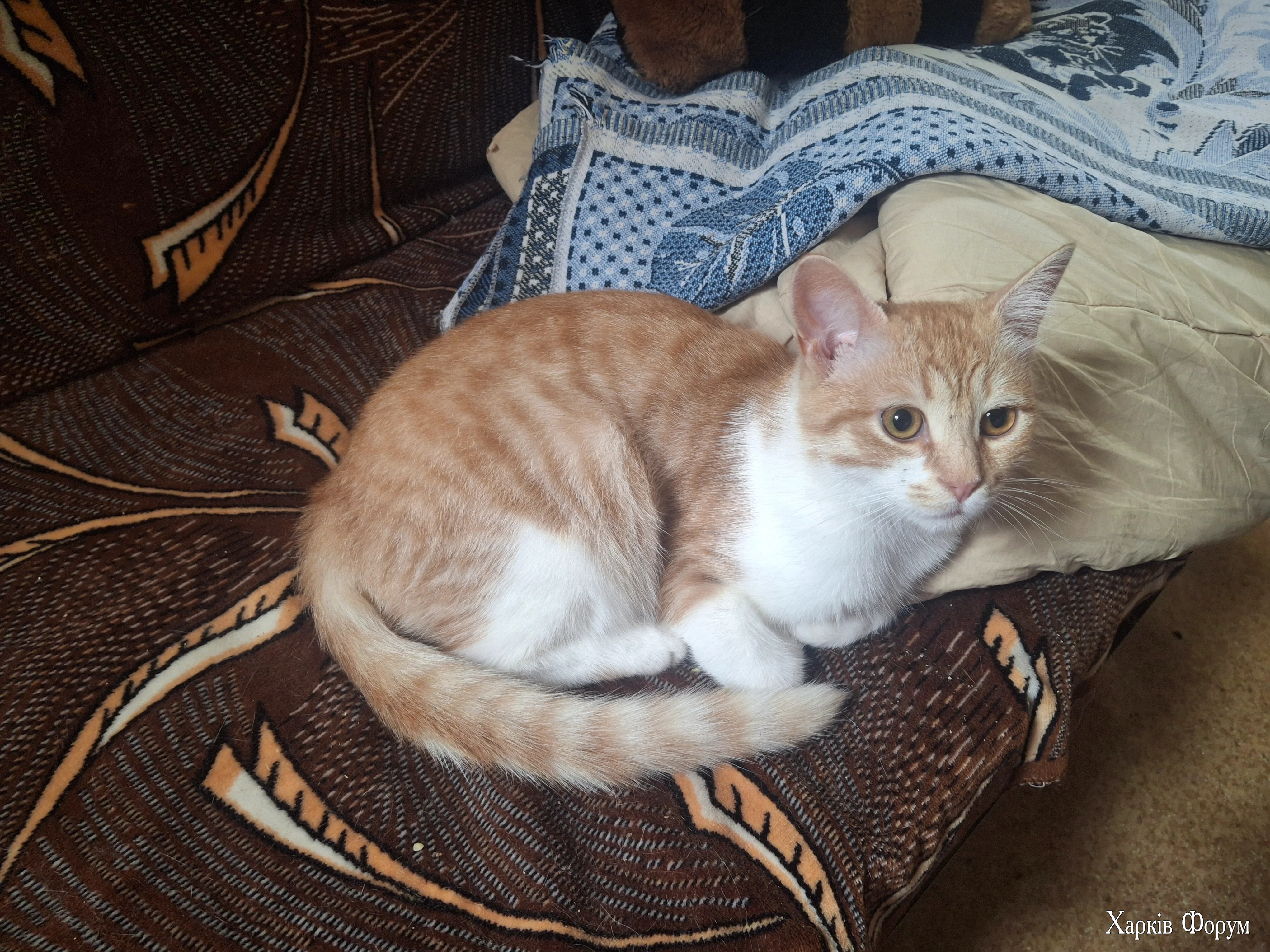 20260723_130424.webp