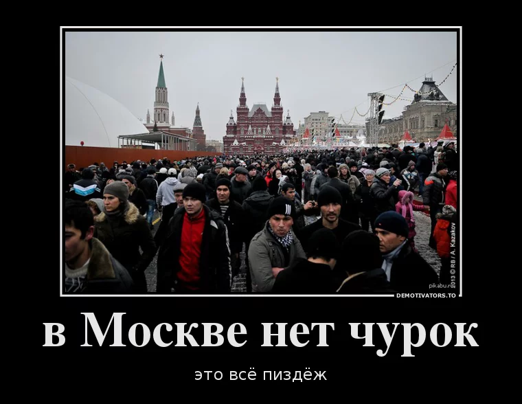 2031393.webp