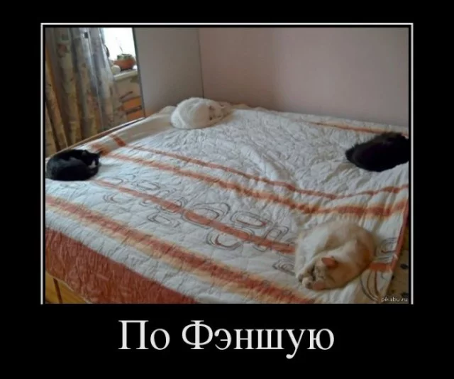203321_144e.webp
