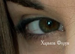 20393bb630eba0bd.webp