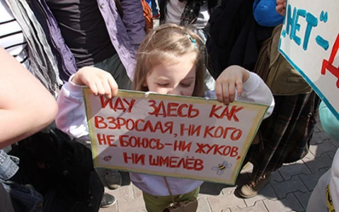 204376_original.webp