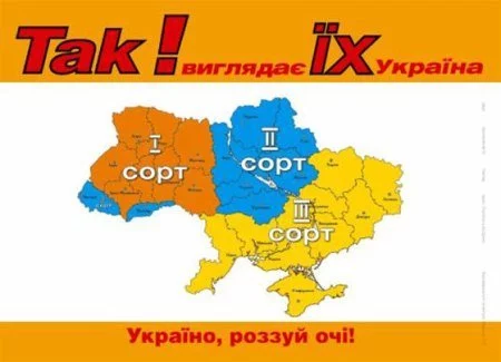 20448_original.webp