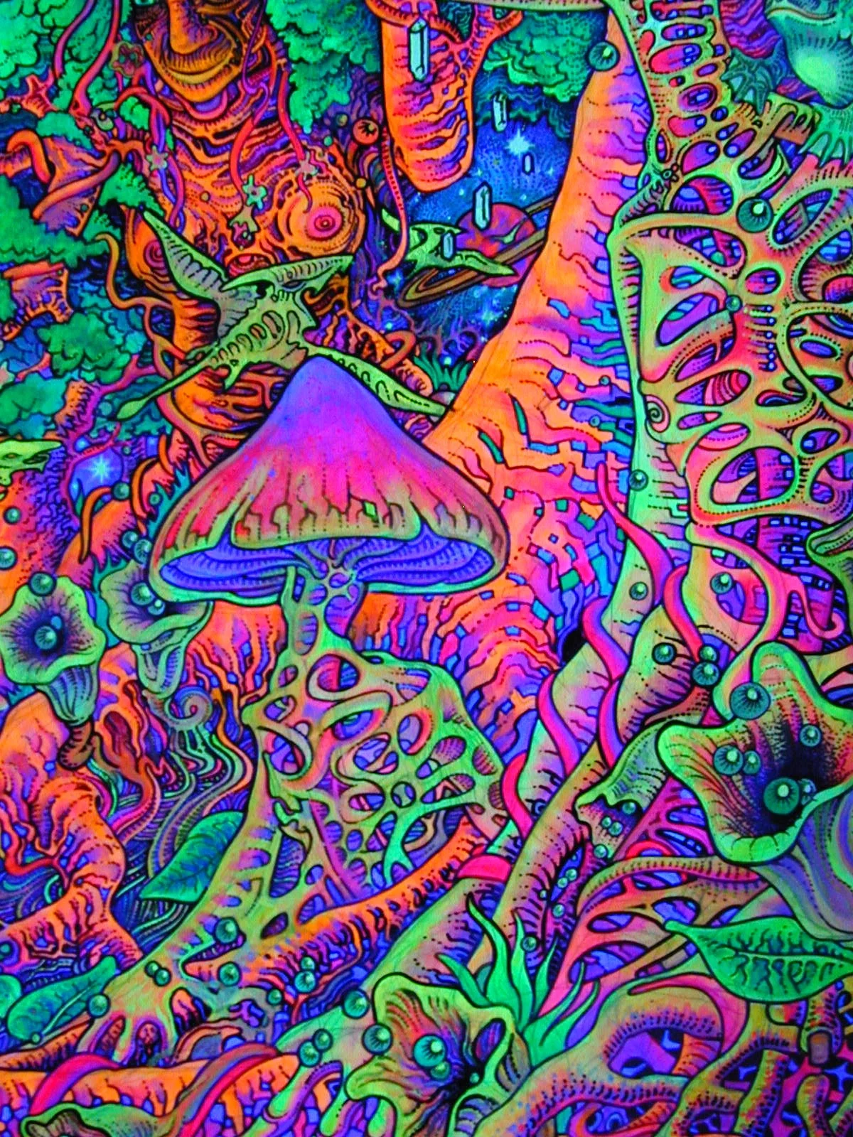 2048289771_5377c5e2d4_o.webp