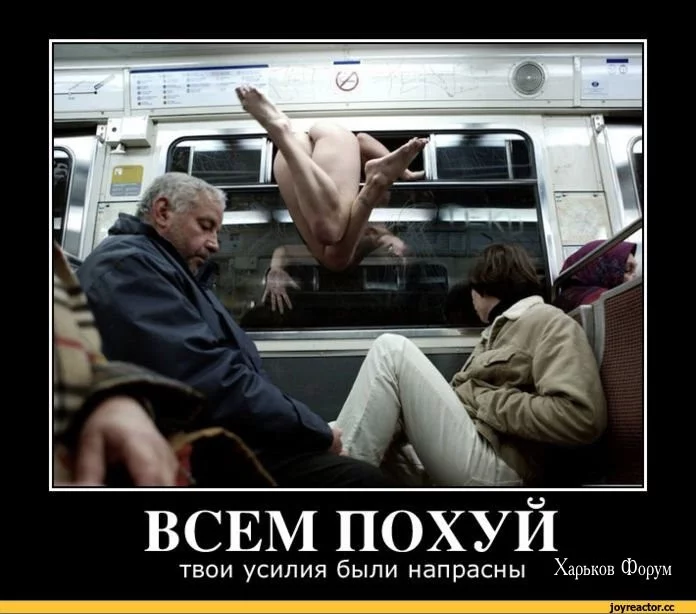 204c39eb8f2012e0501f6dc0.webp