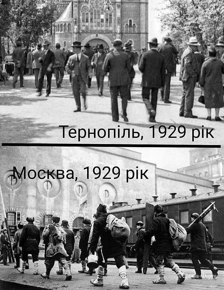 205e323f2597e3b1281e7.jpg