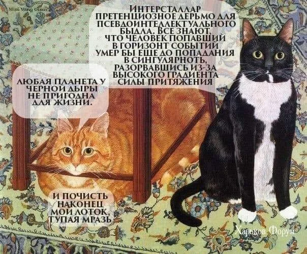 205fcafa8aff4c252a7fb.webp