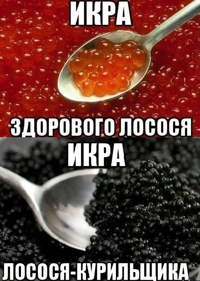 2060537.webp