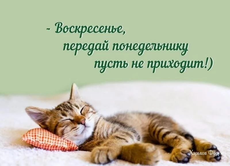 2061e3962886e0200bfc.webp