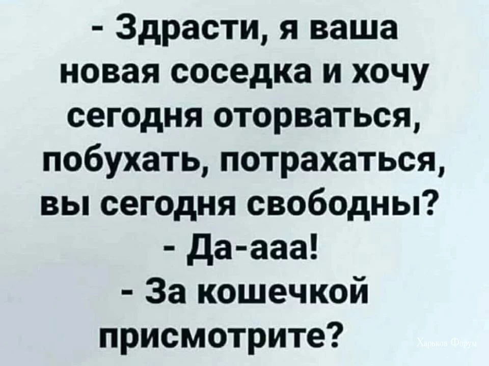 206be3a086f8b547997b39.webp