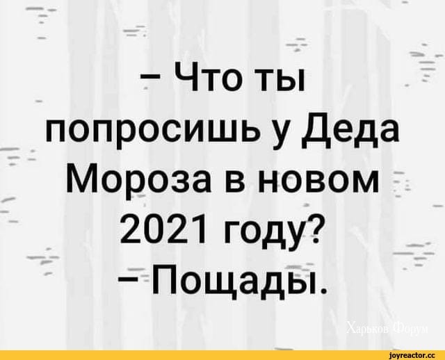 20777c8b2a0d3d71aa2f0.jpg