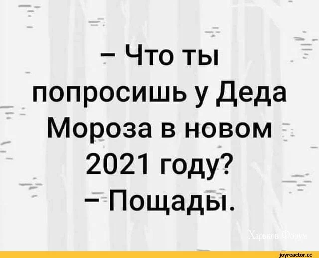 20777c8b2a0d3d71aa2f0.webp