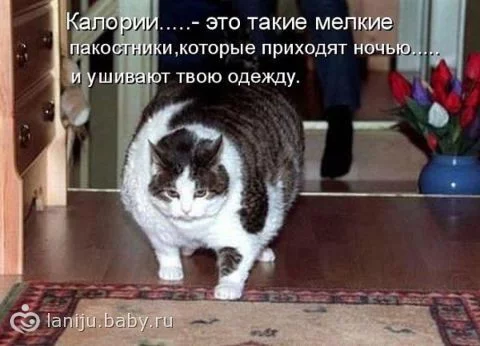 20797933.55980812.webp
