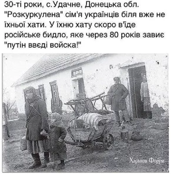 207e1e85ec78c9d3d53.webp