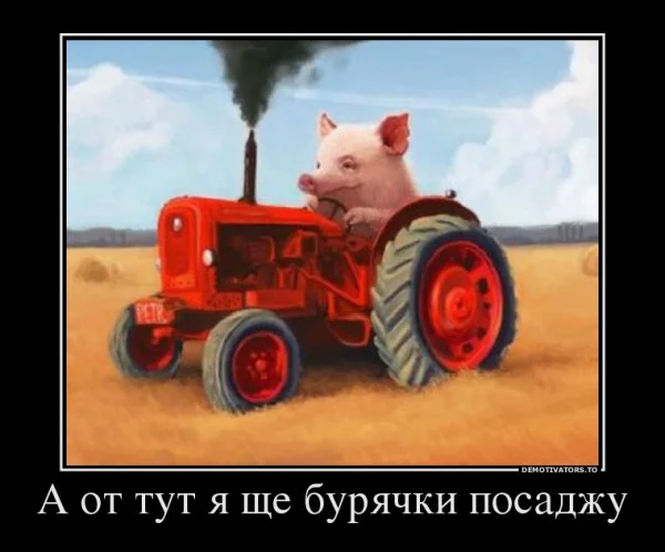 209011_600.webp