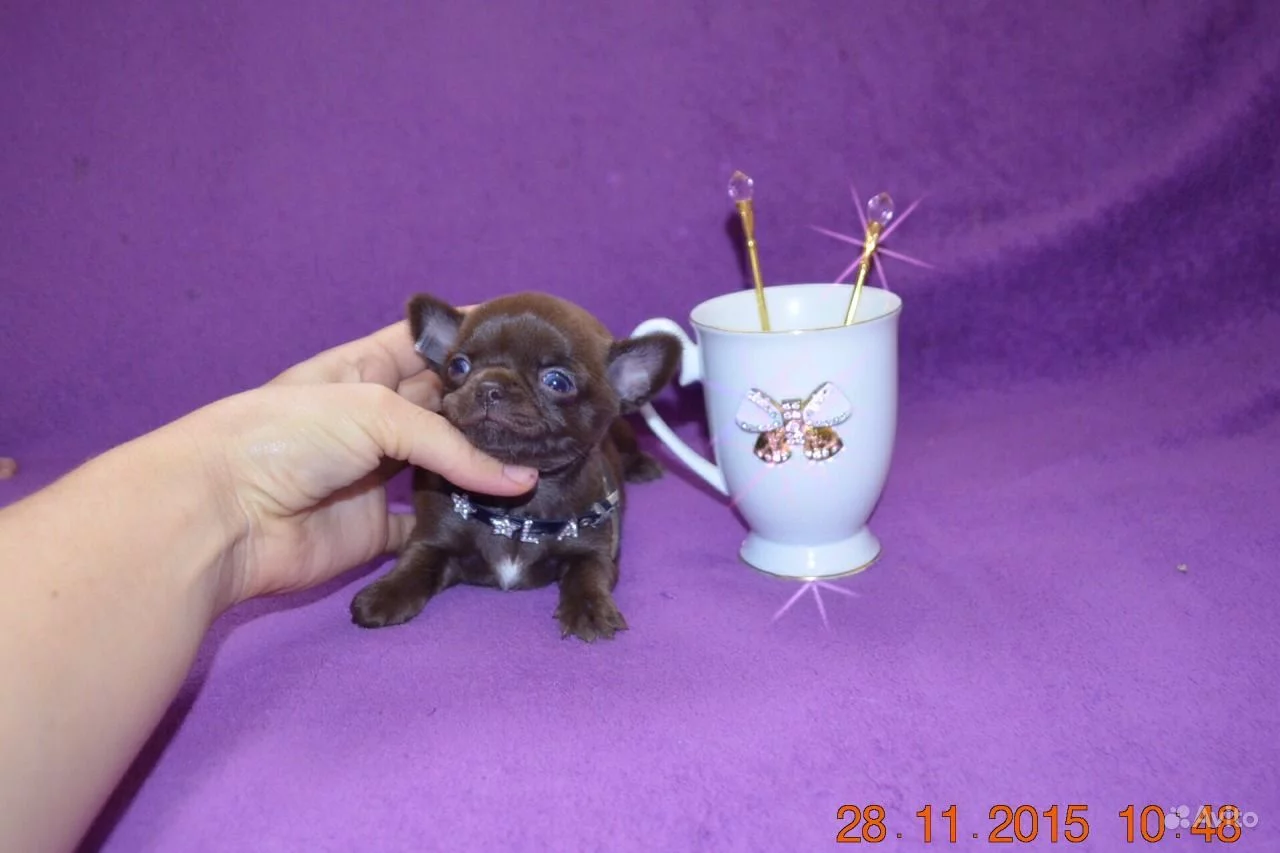 2092236782.webp