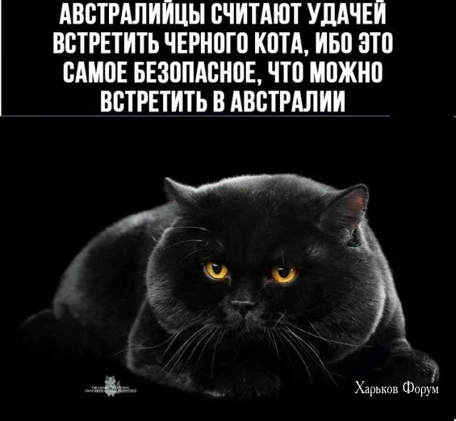 20953ce3beecb0d3ccc6d0.webp
