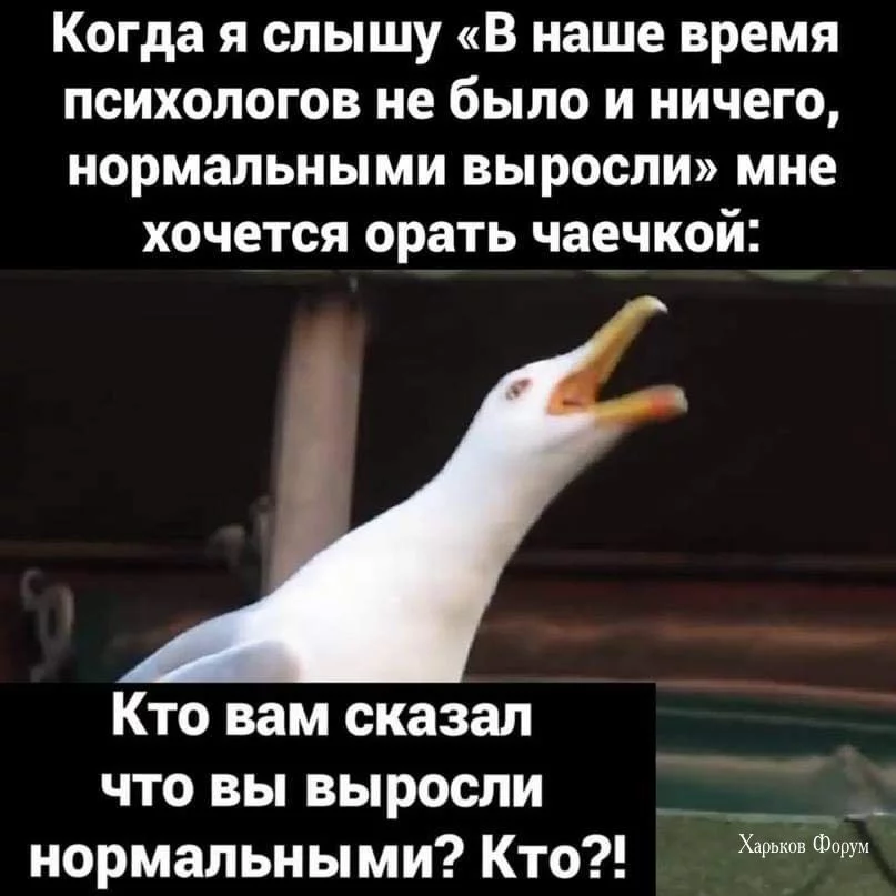 209d22bbdec7bc117.webp