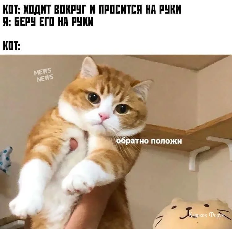 20a63e5c1ccefb21a410.webp