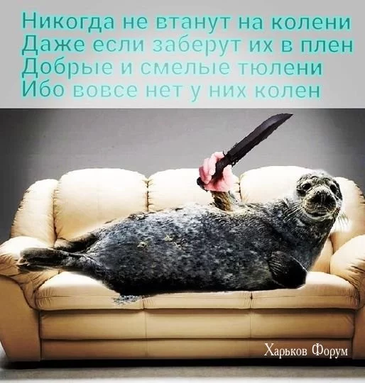 20a7e053523c0193.webp