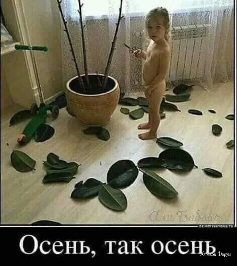 20bb78e4854c87eee6.webp