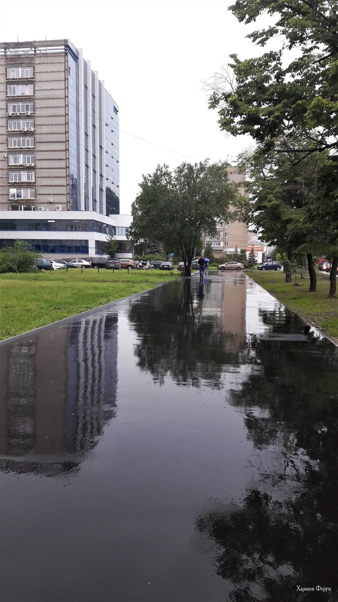 20bd1cdb385a288dfce.webp