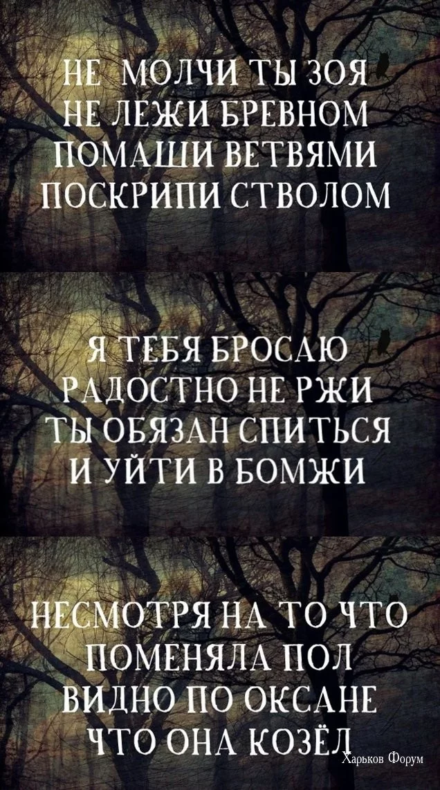 20c6f04bff4a4b4a6.webp