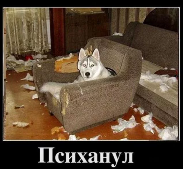 20dea68fde.webp