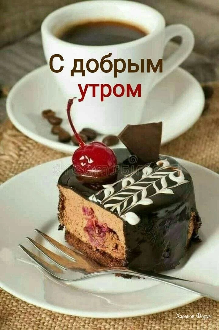 20dfd498fbbc28a7f1.webp