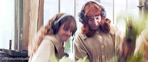 20f03be2c5bfb91d28dc.gif
