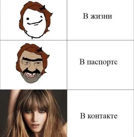 20fb17da2cf813c350.webp