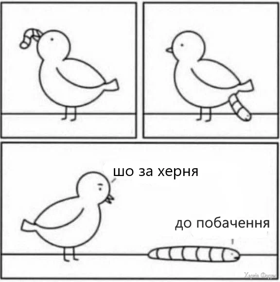 211.webp