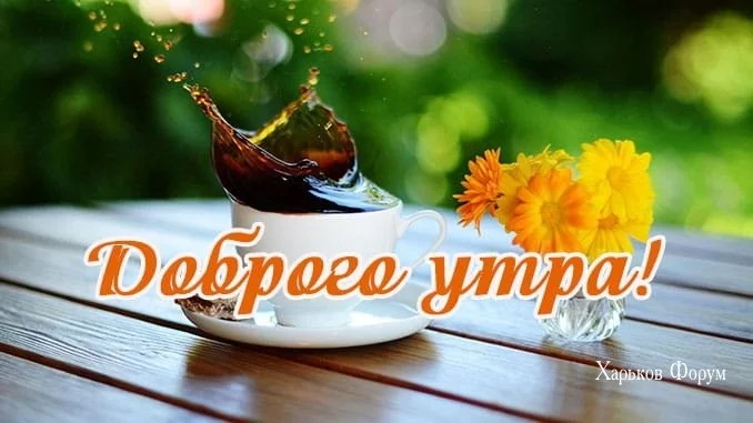 21133dca14a60d4931.webp