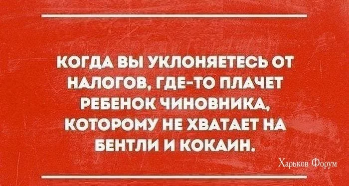 21228c268de3bdc831f7.webp