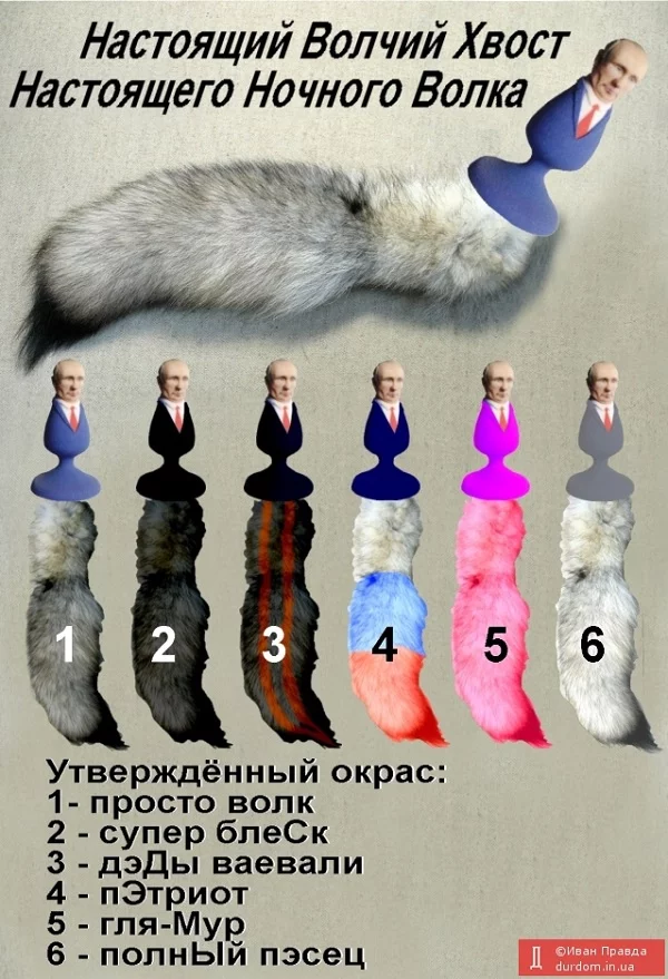 2125_55468b81c93e1.webp