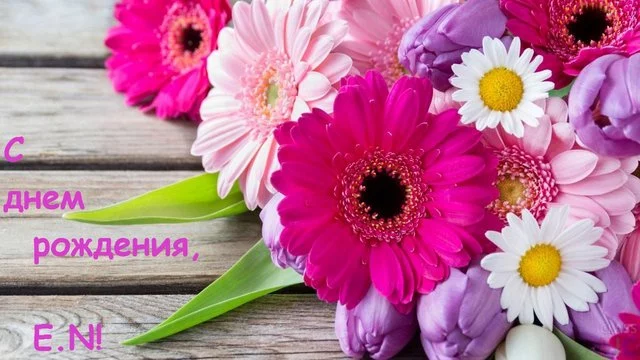 21312312412.webp