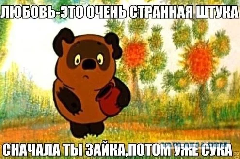 2142458.webp