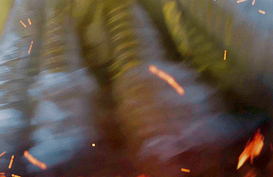 214d496fe4bb6f570518757d2739832310bdeb99.gif