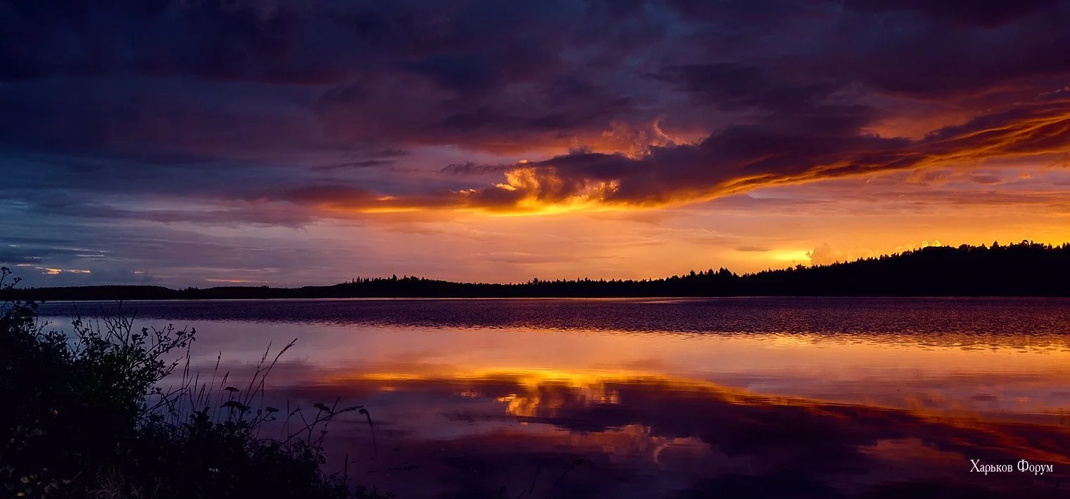 215c6f47fb59c4762f62052c.webp