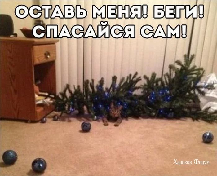 215c819f313b2f252.webp