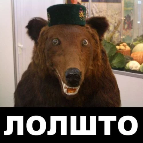 21640.webp