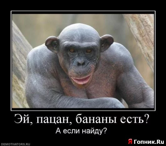 21930_600.webp