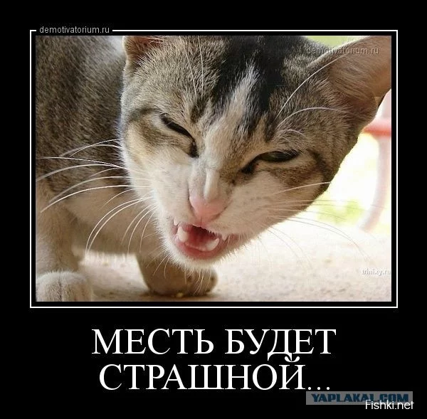 2194316.webp