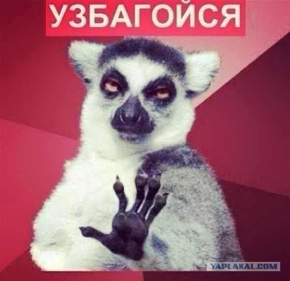 2198734.webp
