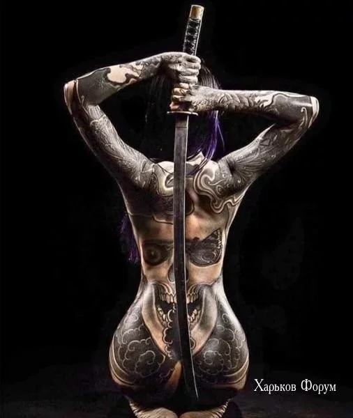 219aa9f54472c464c60.webp
