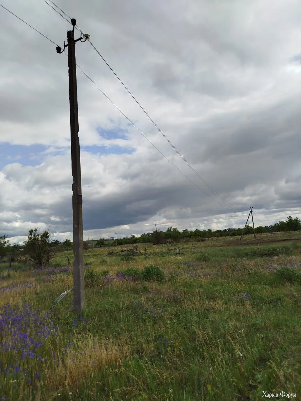 21_6858fcce4ac24.webp