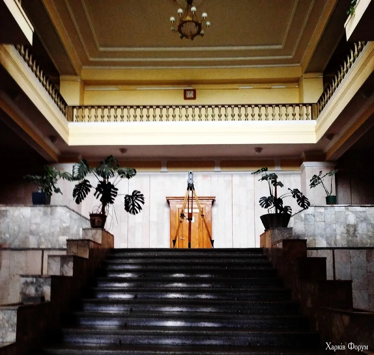 21_6901e5b33531f.webp 21_6901e5b33531f.webp