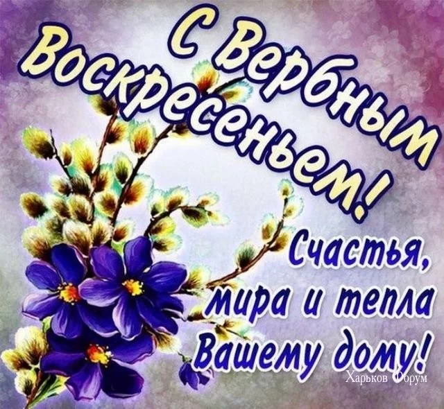 21be0c5f68b0b8049.webp