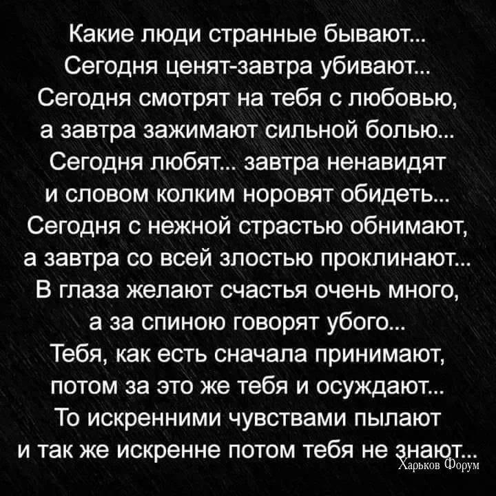 21c1bf0265619684.webp