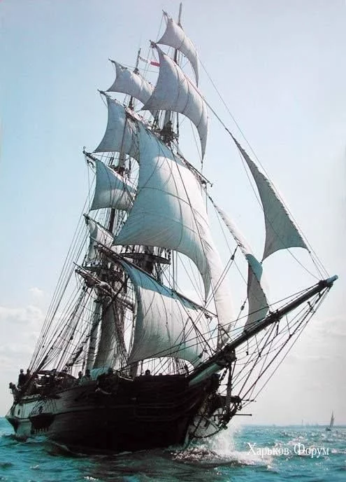 21d050cc08b74493ea.webp